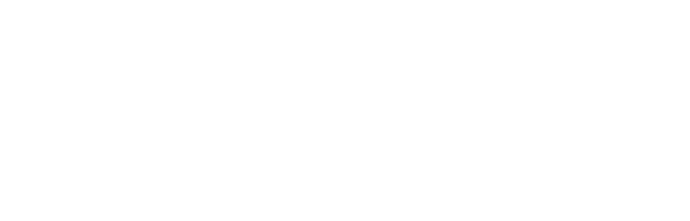 Logo Occlutech